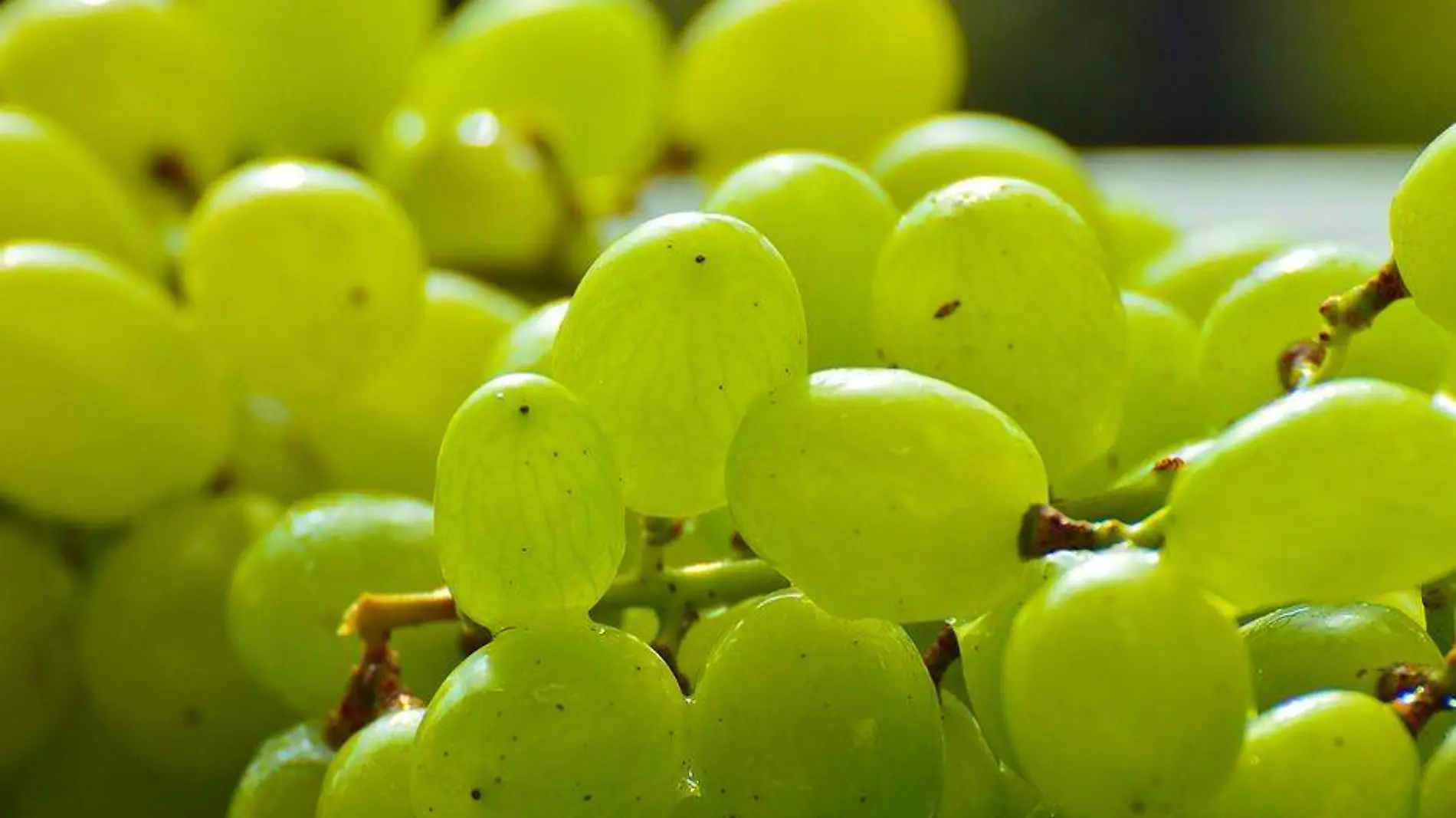 Alimentos que pueden sustituir las uvas